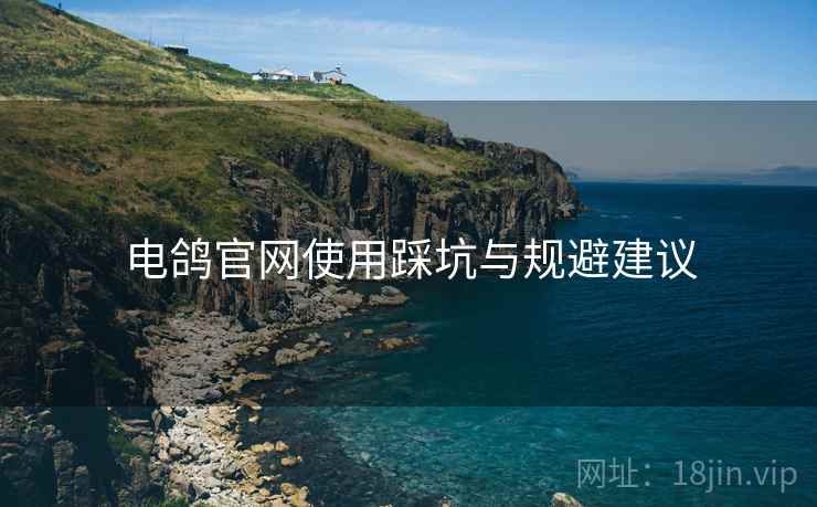 电鸽官网使用踩坑与规避建议  第1张