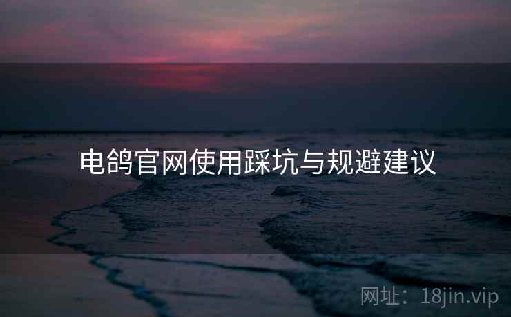 电鸽官网使用踩坑与规避建议  第2张
