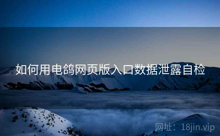 如何用电鸽网页版入口数据泄露自检  第2张