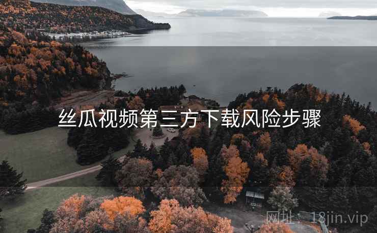 丝瓜视频第三方下载风险步骤  第1张