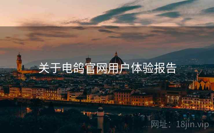 关于电鸽官网用户体验报告  第2张