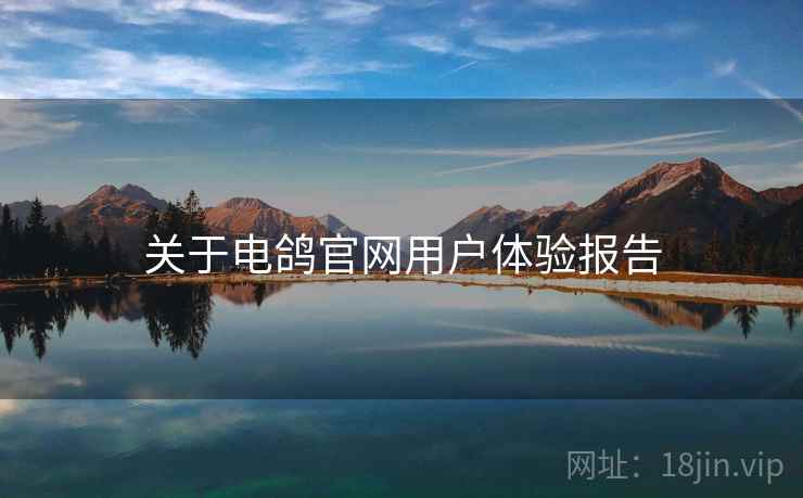 关于电鸽官网用户体验报告  第1张