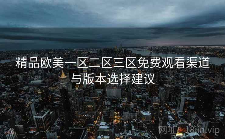 精品欧美一区二区三区免费观看渠道与版本选择建议  第2张