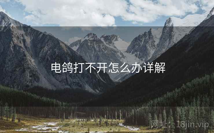 电鸽打不开怎么办详解  第1张