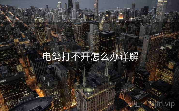 电鸽打不开怎么办详解  第2张