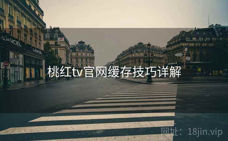 桃红tv官网缓存技巧详解  第2张