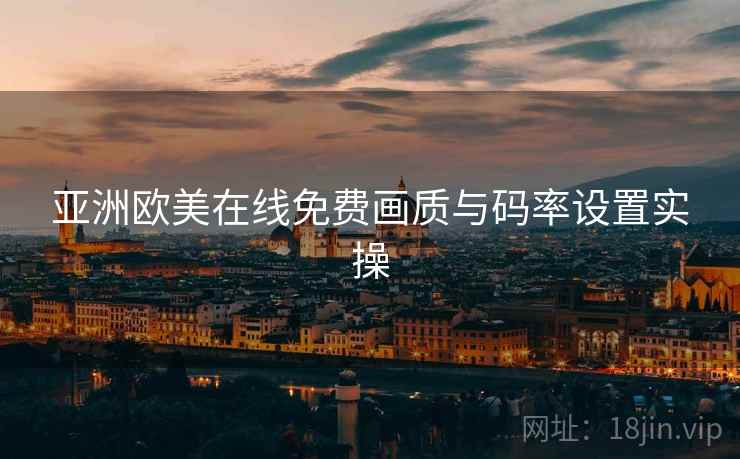 亚洲欧美在线免费画质与码率设置实操  第2张