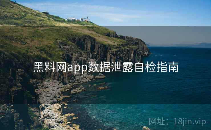 黑料网app数据泄露自检指南  第2张
