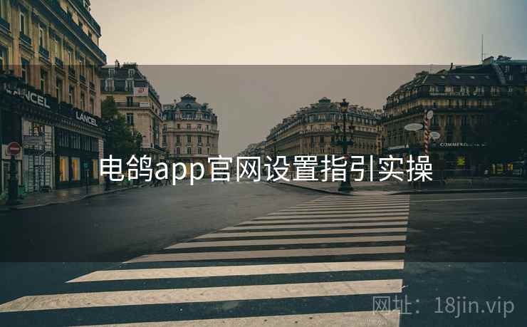 电鸽app官网设置指引实操  第2张