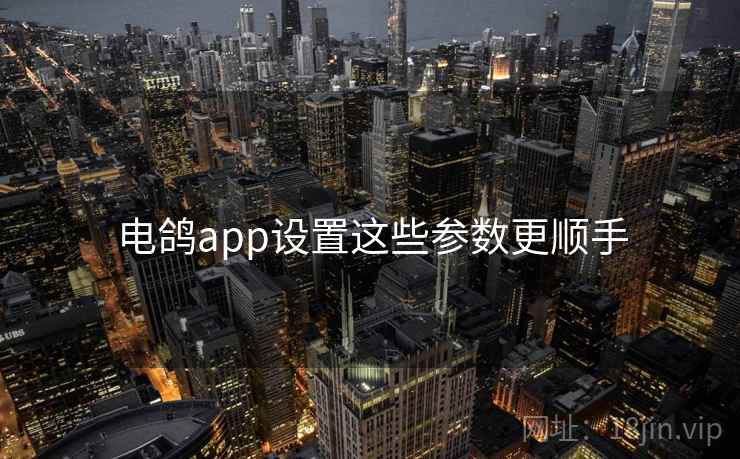 电鸽app设置这些参数更顺手  第1张