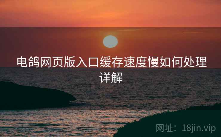 电鸽网页版入口缓存速度慢如何处理详解  第1张