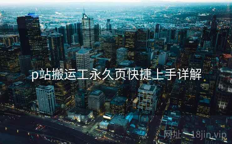 p站搬运工永久页快捷上手详解  第1张