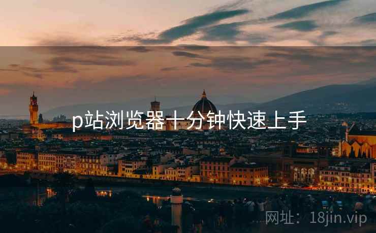 p站浏览器十分钟快速上手  第2张
