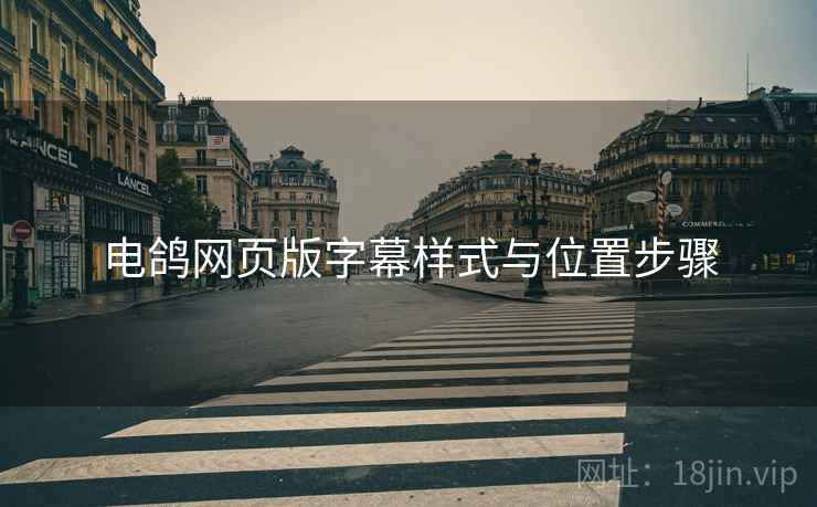 电鸽网页版字幕样式与位置步骤  第2张