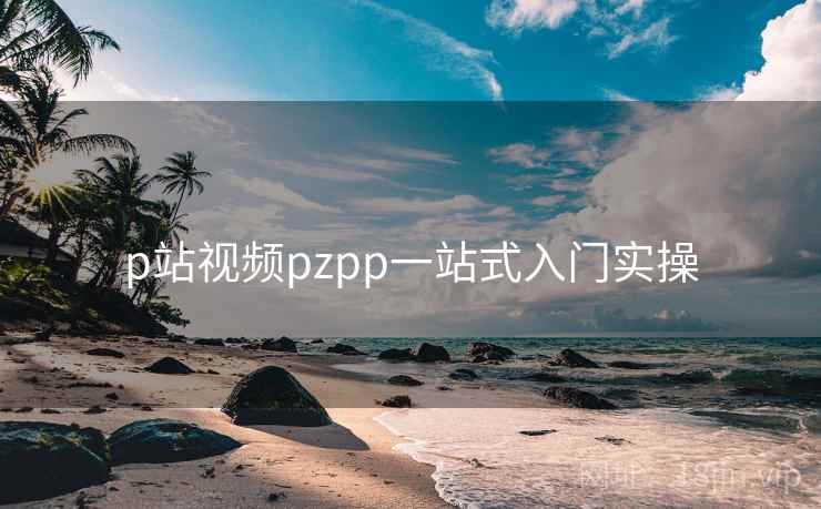 p站视频pzpp一站式入门实操  第2张