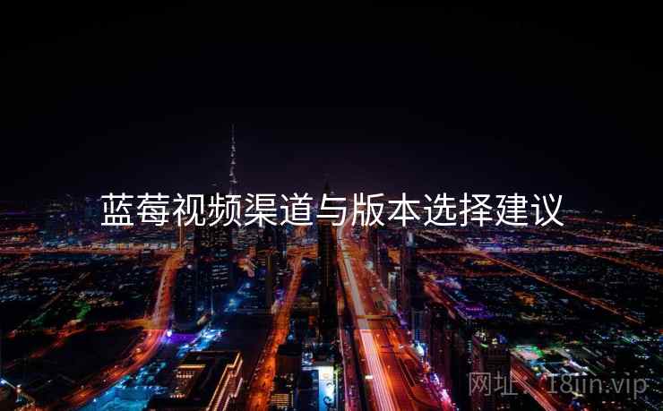 蓝莓视频渠道与版本选择建议  第1张