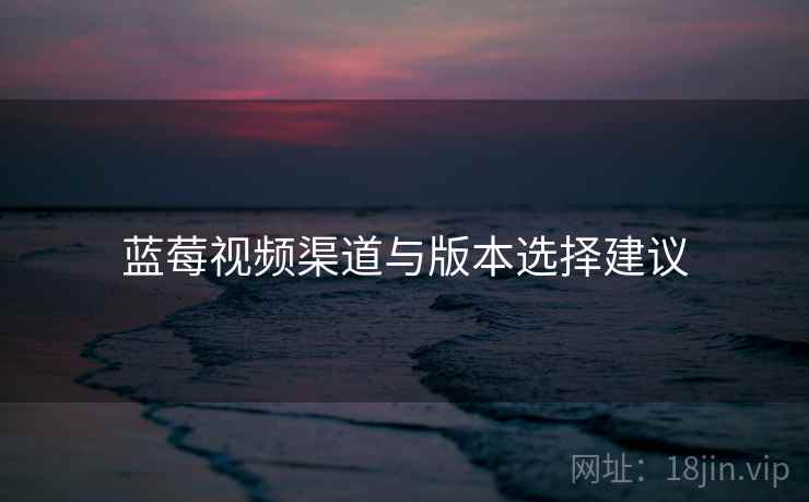 蓝莓视频渠道与版本选择建议  第2张
