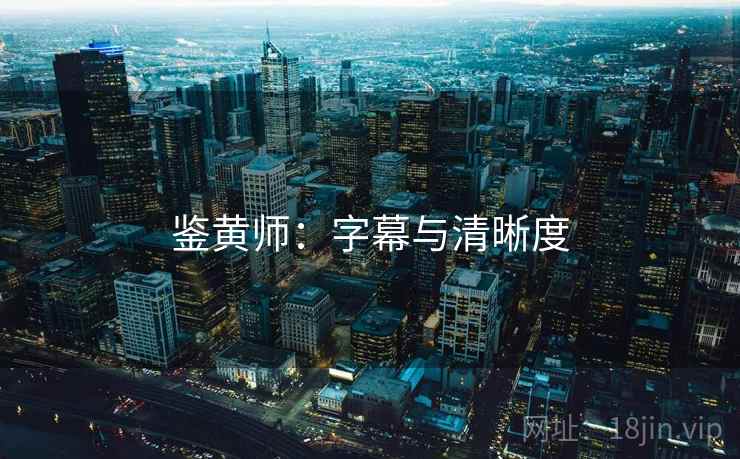鉴黄师：字幕与清晰度  第2张