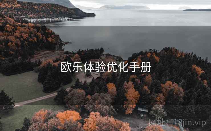 欧乐体验优化手册  第1张