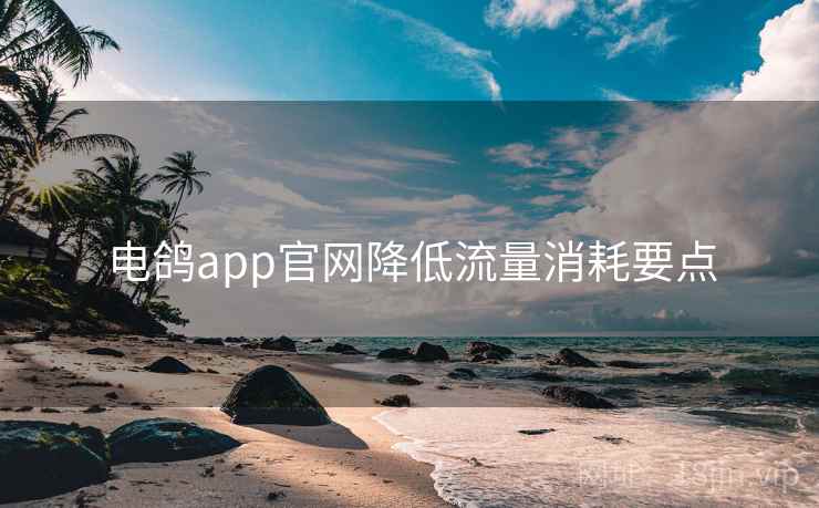 电鸽app官网降低流量消耗要点  第1张