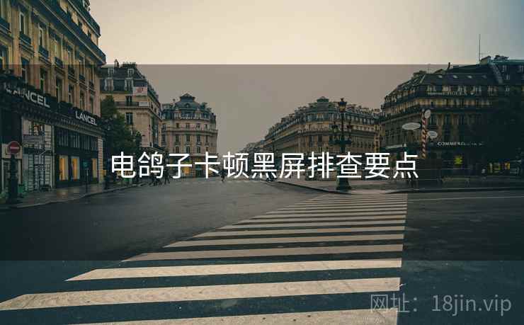 电鸽子卡顿黑屏排查要点  第2张