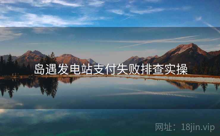 岛遇发电站支付失败排查实操  第1张